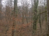 dsc00002