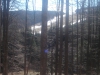 Vue sur le bas du Champ Du Feu