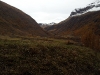 2011-11-03-08-46-35