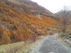 2011-11-03-10-55-49