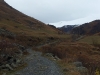 2011-11-03-10-56-11_0