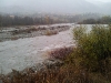 2011-11-05-10-09-19