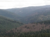 dsc00146