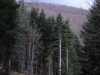 dsc00149