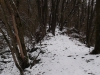 dsc00170