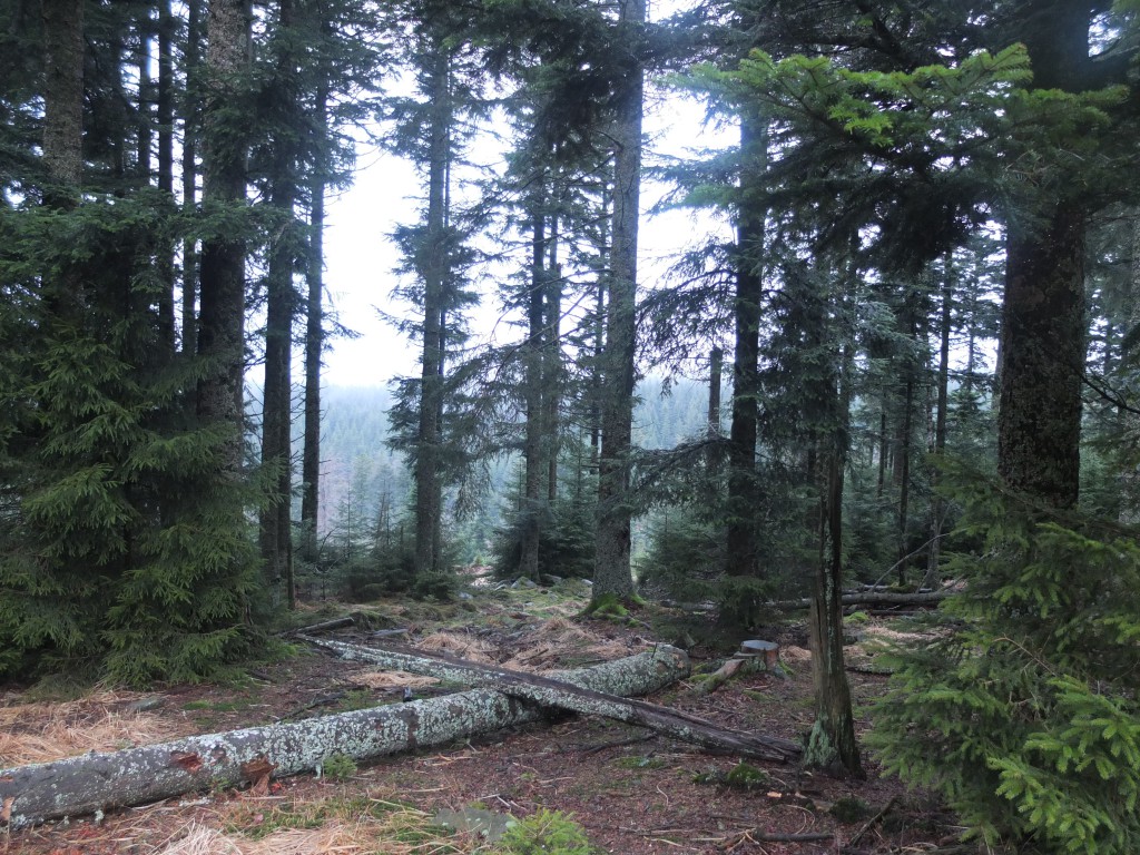 En descendant de la Tête des Blanches Roches vers le refuge de Prayé