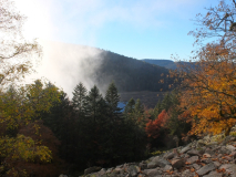 Tourbiere de Machais