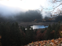Tourbiere de Machais