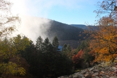 Tourbiere de Machais