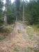 dsc00008