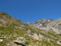 DSCF3116