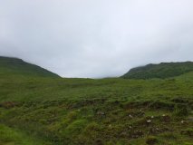 DSCF1240