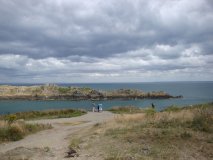 dsc08736-jpg