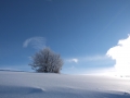 DSCF2738