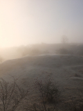 DSCF4254