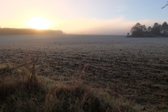 DSCF4249