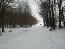 Route du Lagenberg