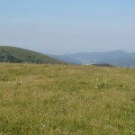 DSC00222