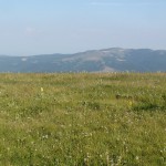 DSC00224