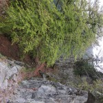 DSCF1045