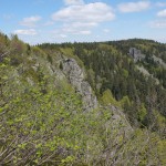 DSCF1078