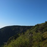 DSCF1100