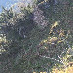 DSCF1106
