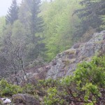 DSCF3079