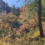 IMG_20221004_125115