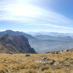 IMG_20221006_124744